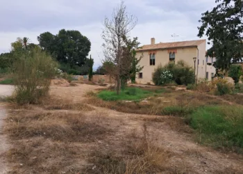 El Bosquete Sostenible de Benicalap abandonado, seco, con basura y malas hierbas