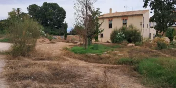 El Bosquete Sostenible de Benicalap abandonado, seco, con basura y malas hierbas