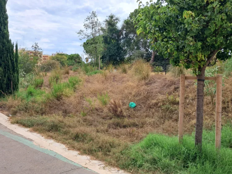 El Bosquete Sostenible de Benicalap abandonado, seco, con basura y malas hierbas