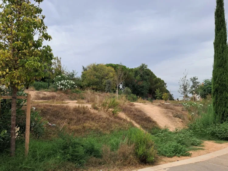 El Bosquete Sostenible de Benicalap abandonado, seco, con basura y malas hierbas