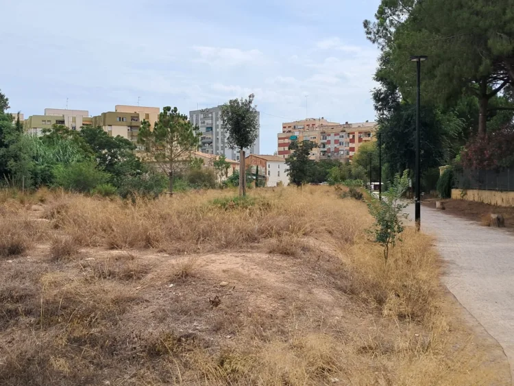 El Bosquete Sostenible de Benicalap abandonado, seco, con basura y malas hierbas