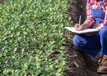 5.725 personas siguen los 109 cursos de formación agraria de la Conselleria de Agricultura en el primer semestre de este año