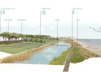 Alboraya proyecta un humedal artificial junto a la playa como la solución municipal a los vertidos contaminantes de las acequias