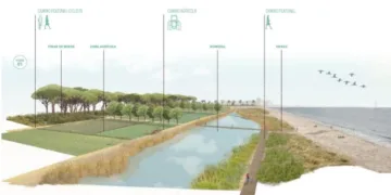 Alboraya proyecta un humedal artificial junto a la playa como la solución municipal a los vertidos contaminantes de las acequias
