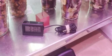 Desmayos y golpes de calor en el interior del Mercado Central a 32ºC mientras en oficinas están a 22ºC