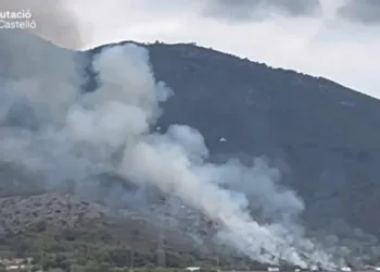 4 medios aéreos luchan contra un Incendio Forestal en Oropesa