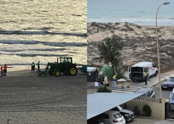 La Guardia Civil investiga el origen de los cuerpos aparecidos flotando los últimos días en el Saler y Perellonet