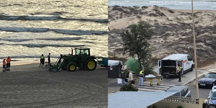 La Guardia Civil investiga el origen de los cuerpos aparecidos flotando los últimos días en el Saler y Perellonet 1 La Guardia Civil investiga el origen de los cuerpos aparecidos flotando los últimos días en el Saler y Perellonet