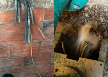 30 millones de euros en pérdidas en el campo valenciano por robos en el último año y subiendo