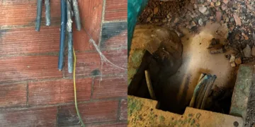 30 millones de euros en pérdidas en el campo valenciano por robos en el último año y subiendo