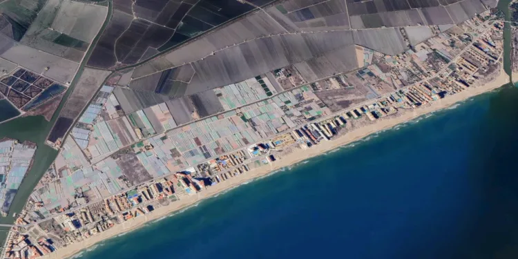 Un cadaver aparece flotando en la concurrida playa de El Perellonet este Sábado 1 Aparece un cadaver flotando en la playa de El Perellonet