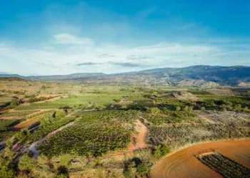 Viñedos El Pacto (DOCa Rioja) presenta la nueva añada 2021 de sus dos vinos de Viñedo Singular