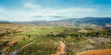 Viñedos El Pacto (DOCa Rioja) presenta la nueva añada 2021 de sus dos vinos de Viñedo Singular