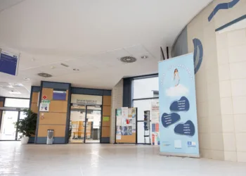 La UJI celebra el Día Internacional de la Paz con el lanzamiento del Proyecto Balder de sensibilización y formación en «core skills» 1 La UJI celebra el Día Internacional de la Paz con el lanzamiento del Proyecto Balder de sensibilización y formación en «core skills»