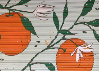 El Ayuntamiento de Valencia embellece Russafa: arte urbano en las persianas de comercios y garajes