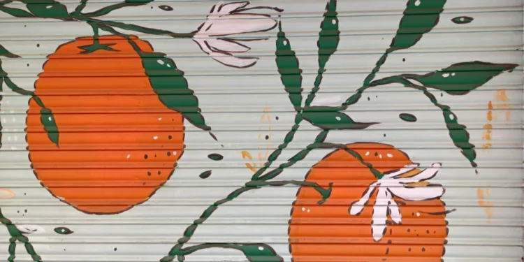 El Ayuntamiento de Valencia embellece Russafa: arte urbano en las persianas de comercios y garajes 1 El Ayuntamiento de Valencia embellece Russafa: arte urbano en las persianas de comercios y garajes