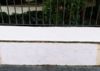 Ayuntamiento de Valencia: chapuzas a domicilio