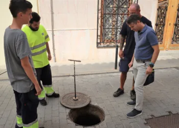 Torrent intensifica la lucha contra plagas