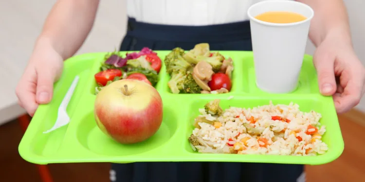 Programa para introducir hábitos alimentarios saludables y sostenibles en el alumnado más vulnerable 1 Educación destina 76 millones de euros a ayudas de comedor escolar