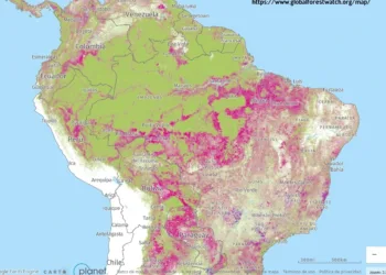 Los incendios se apagan en tu plato