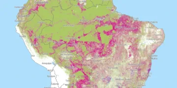 Los incendios se apagan en tu plato