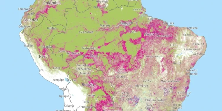 Los incendios se apagan en tu plato 1 Los incendios se apagan en tu plato