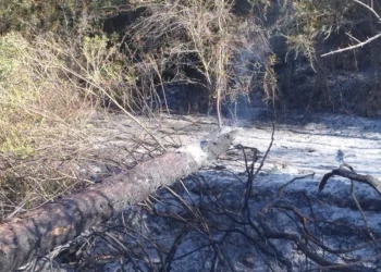 El incendio de Simat de la Valldigna estabilizado