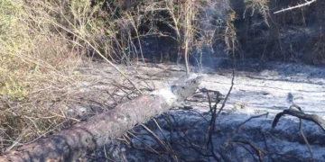 El incendio de Simat de la Valldigna estabilizado