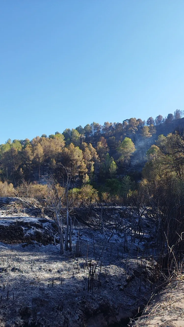 El incendio de Simat de la Valldigna estabilizado
