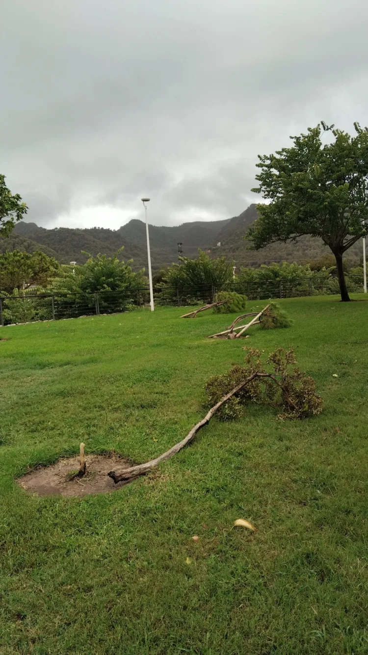 Nuevo aviso nivel naranja en la costa de Castello, nivel amarillo en Valencia, resto de Castello y norte de Alicante