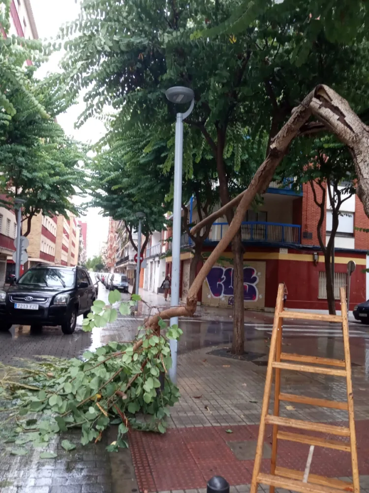 Nuevo aviso nivel naranja en la costa de Castello, nivel amarillo en Valencia, resto de Castello y norte de Alicante