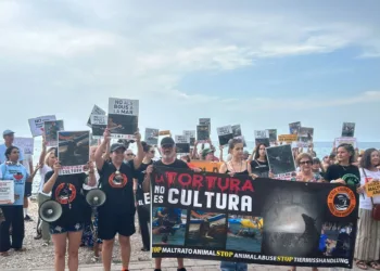Dénia Animal Save se manifiesta contra los bous a la mar de Jávea y condena la muerte de otro toro 