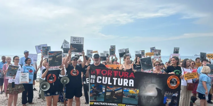 Dénia Animal Save se manifiesta contra los bous a la mar de Jávea y condena la muerte de otro toro 1 Dénia Animal Save se manifiesta contra los bous a la mar de Jávea y condena la muerte de otro toro