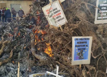 ¿Qué es la agricultura?