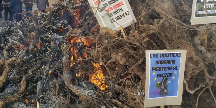 ¿Qué es la agricultura?