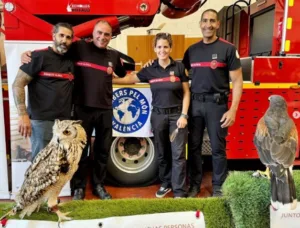 Imagen de WhatsApp 2024 09 14 a las 14.28.01 1b62a400