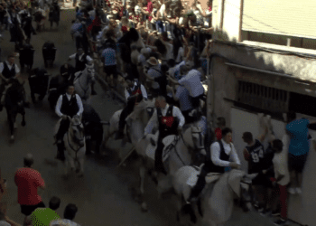 La Entrada de Toros y Caballos en Segorbe: La emoción de septiembre que define a una localidad
