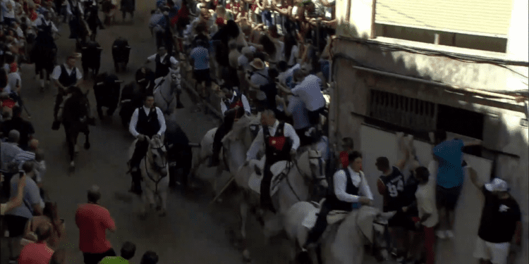 La Entrada de Toros y Caballos en Segorbe: La emoción de septiembre que define a una localidad