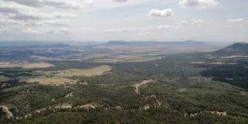 Varias asociaicones presentan una queja al Parlamento Europeo por la implantación de 25 plantas fotovoltaicas en la zona de Ayora