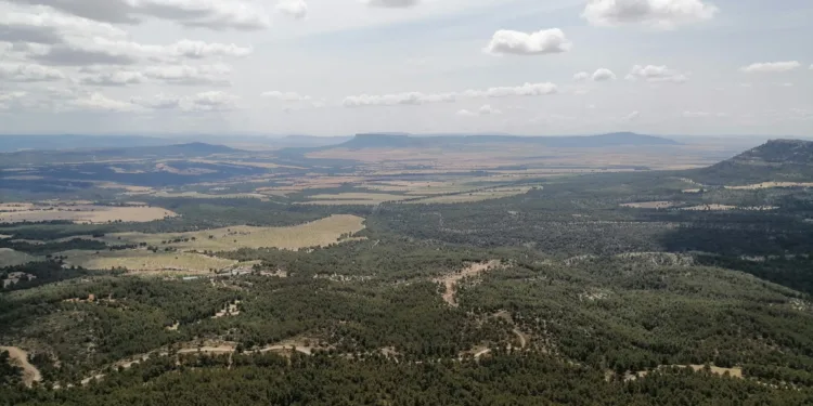 Varias asociaciones presentan una queja al Parlamento Europeo por la implantación de 25 plantas fotovoltaicas en la zona de Ayora 1 Varias asociaicones presentan una queja al Parlamento Europeo por la implantación de 25 plantas fotovoltaicas en la zona de Ayora