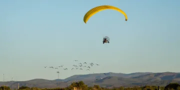 La bandada de ibis eremita guiados en ultraligeros, pasa por Valéncia con parada en BIOPARC