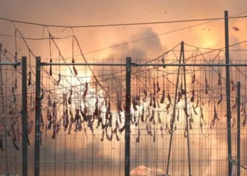 Lo Rat Penat denuncia l'apropiació de la tradició de la pirotècnia valenciana per part de la Generalitat de Catalunya