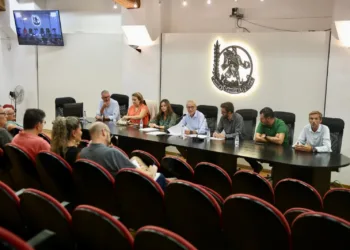 'Nereidas' inundará la Fonteta en la Gala de Elección de las Candidatas a FFMMV 2025