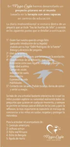 Tras las huellas de felix 2