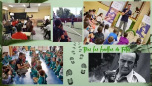 Tras las huellas de felix colegios e institutos