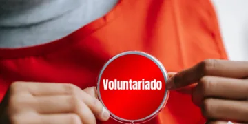 El Consell aprueba el anteproyecto de Ley del Voluntariado de la Comunitat Valenciana