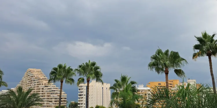 44 litros llevan recogidos en Oliva esta mañana. Las lluvias se extienden por la Comunitat Valenciana 1 44 litros llevan recogidos en Oliva esta mañana. Las lluvias se extienden por la Comunitat Valenciana