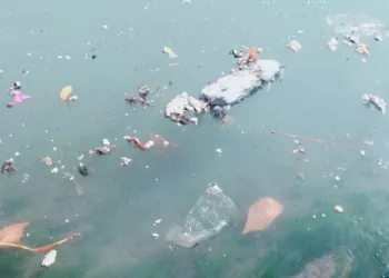 El problema sin resolver del final del cauce del Turia: contaminación y falta de depuración