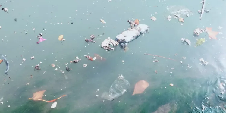 El problema sin resolver del final del cauce del Turia: contaminación y falta de depuración