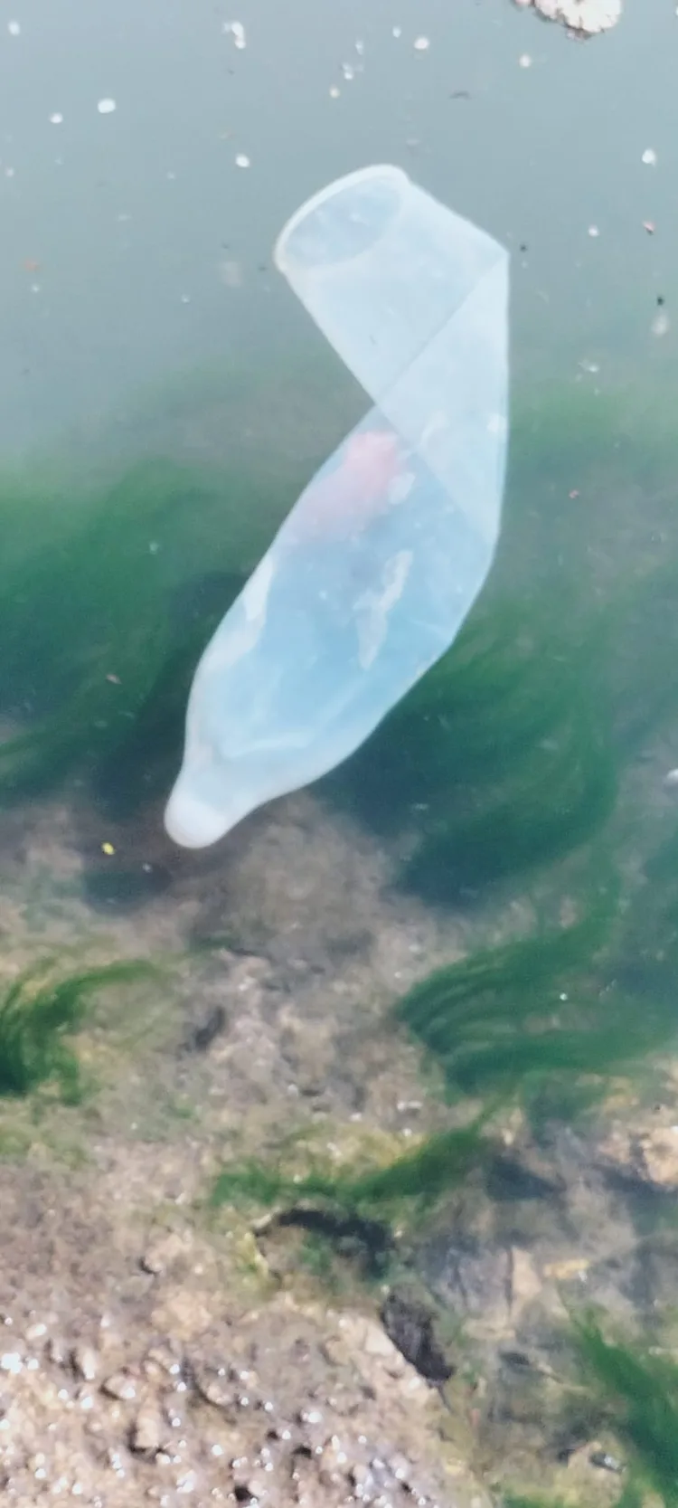 El problema sin resolver del final del cauce del Turia: contaminación y falta de depuración